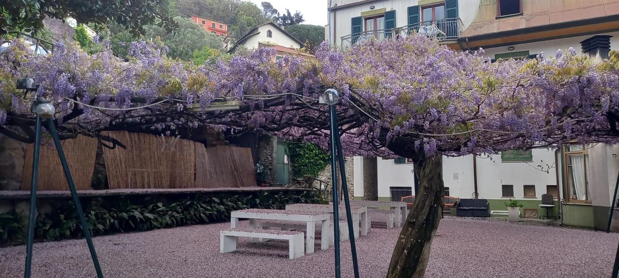 Hotel Residence Moneglia Luaran gambar